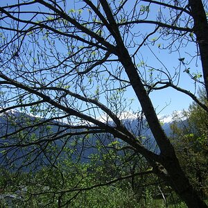 Unterwegs in der Natur