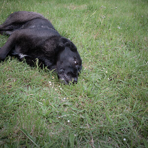 Garica-am-04.05.2020.jpg
