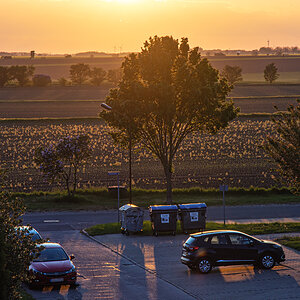 OF2_41239.jpg