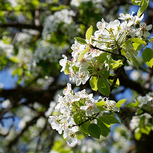 DSC_0731_DxO.jpg