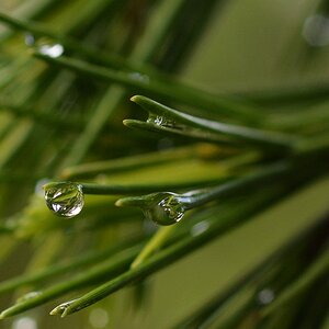 Nach dem Regen