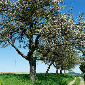 DSC_0765_DxO.jpg