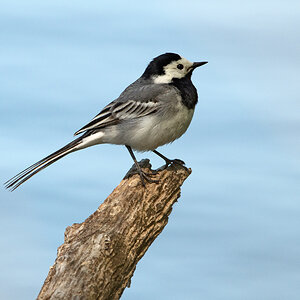OF5_00357.jpg