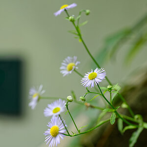 DSC_5353_DxO.jpg