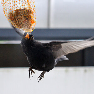 20130616-001.jpg