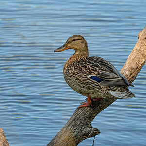 OF5_00363.jpg