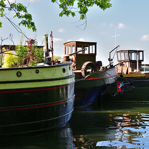 20200507_164149nf.jpg