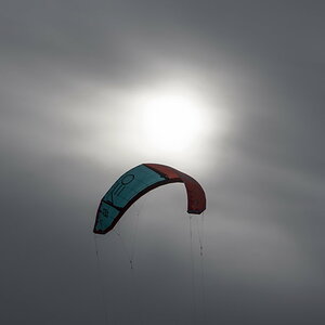 _DSC9456.jpg