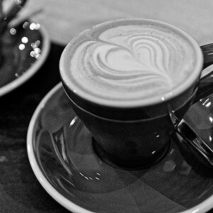 DSC_1593_DxO.jpg
