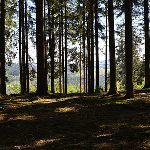 DSC_5213.JPG