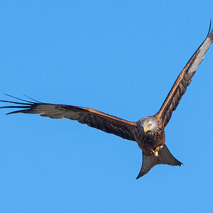 OF5_00446.jpg