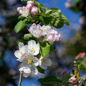 DSC_0802_DxO.jpg