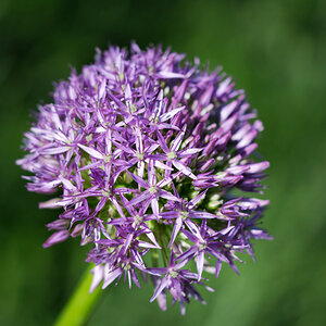 Z50_1041_DxO.jpg