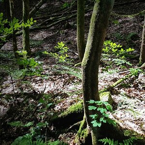 20200505_124349b.jpg