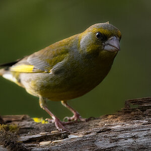 _DSC0627-Bearbeitet-1.jpg