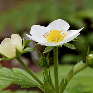 DSC_4259_DxO.jpg