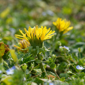 DSC_3268_DxO.jpg