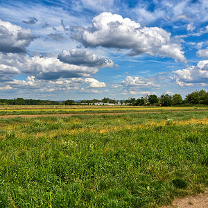 feld_2020.jpg