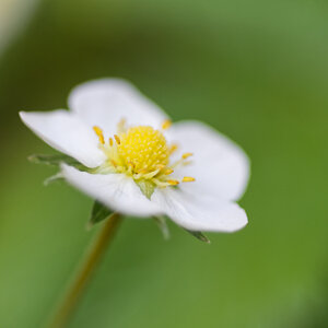 DSC_3616_DxO.jpg