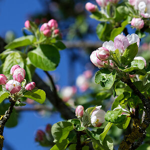 DSC_0801_DxO.jpg