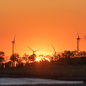 OF5_00575.jpg