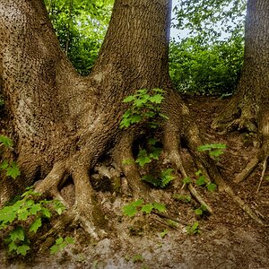 TZ_DSC01438_A.jpg