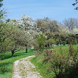 DSC_0716_DxO.jpg