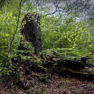 TZ_DSC01425_A.jpg
