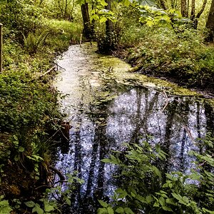 TZ_DSC01445_A.jpg