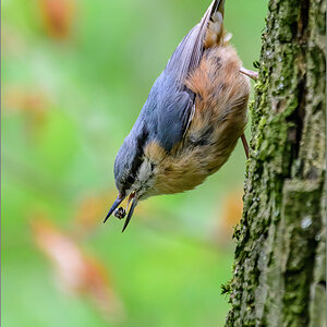D50_2618-Bearbeitet.jpg