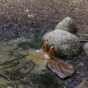 NZ6_5100_DxO.jpg