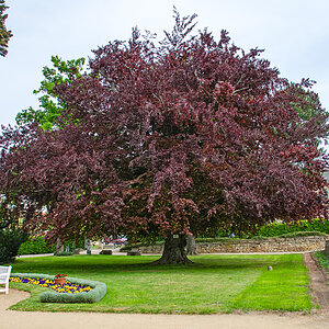OF-59797.jpg