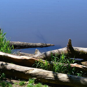 DSC_0114.JPG