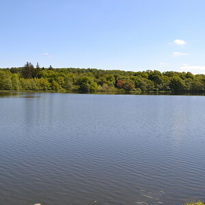 DSC_0103.JPG
