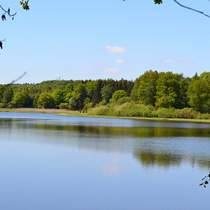 DSC_0113.JPG