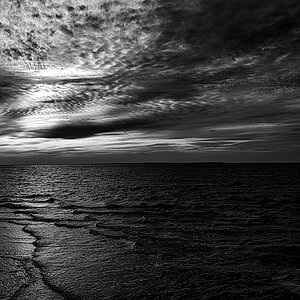 _DSC0081_nf_ bw.jpg