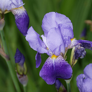 Z50_1120_DxO.jpg