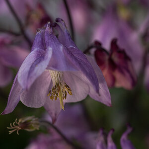 Günters-Garten-01a.jpg