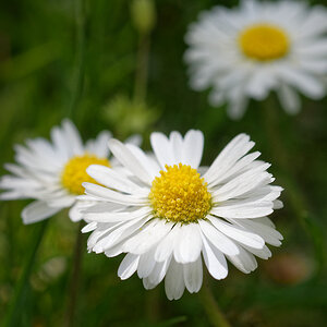 DSC_3114_DxO.jpg