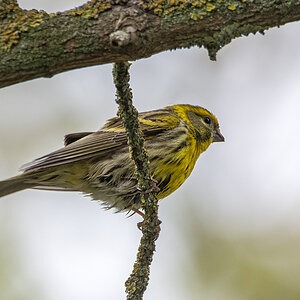 OF5_00304.jpg