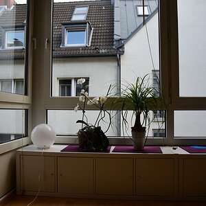 24mm-AF Feineinst+1.jpg