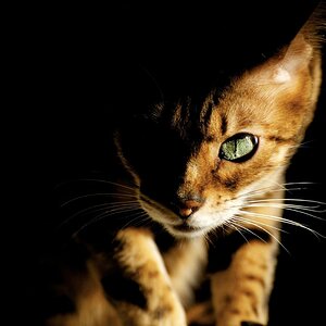 Shadow and light
