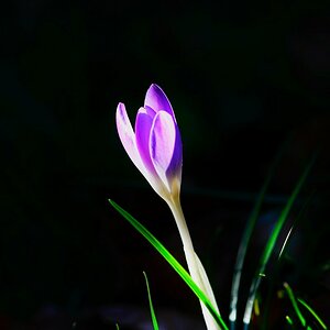 Frühling
