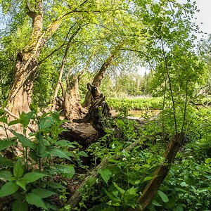 _DSC6292.jpg