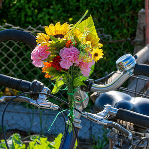OF2_41579.jpg