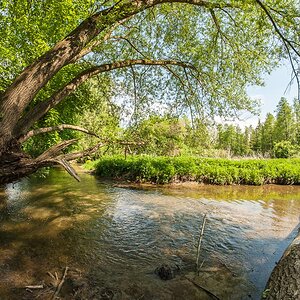 _DSC6290.jpg