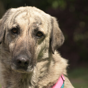 Maylah_Forum_001.jpg