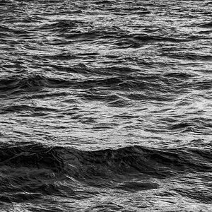 D75_3658-154sw.jpg