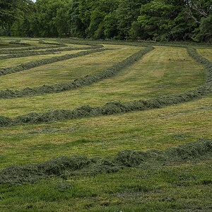 1. Grasschnitt.jpg