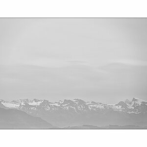 SasaDSC_0265.jpg